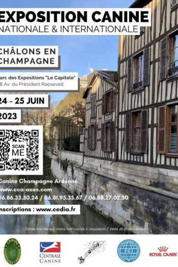 Affiche Officielle expo canine