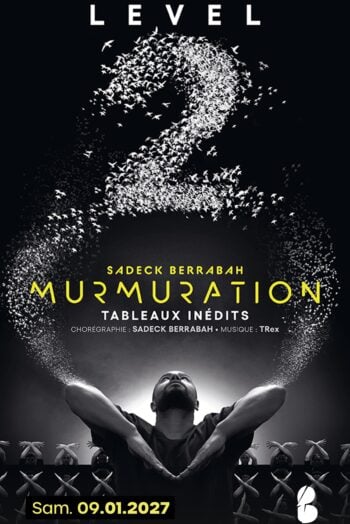 Murmuration – Level 2